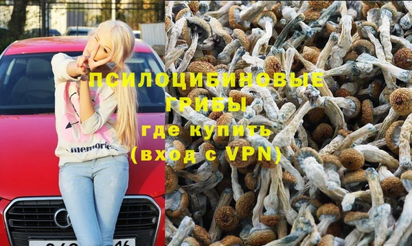 spice Вязьма