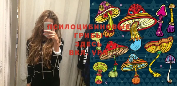 сатива Володарск