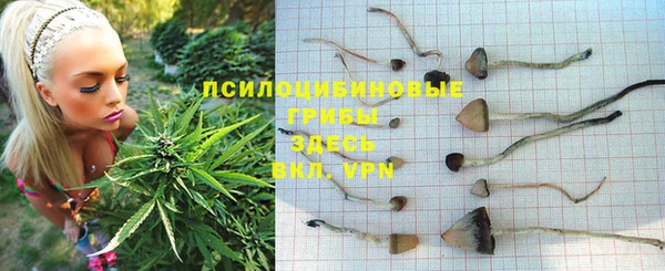 a pvp Вяземский