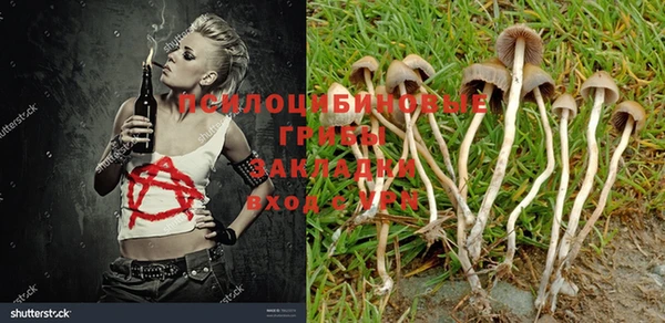 спайс Волоколамск